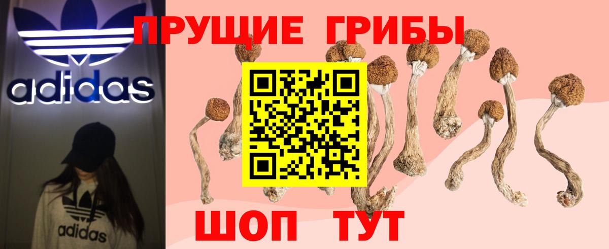Галлюциногенные грибы Cubensis  Вход с VPN  Гудермес  Псилоцибиновые грибы ЛСД 