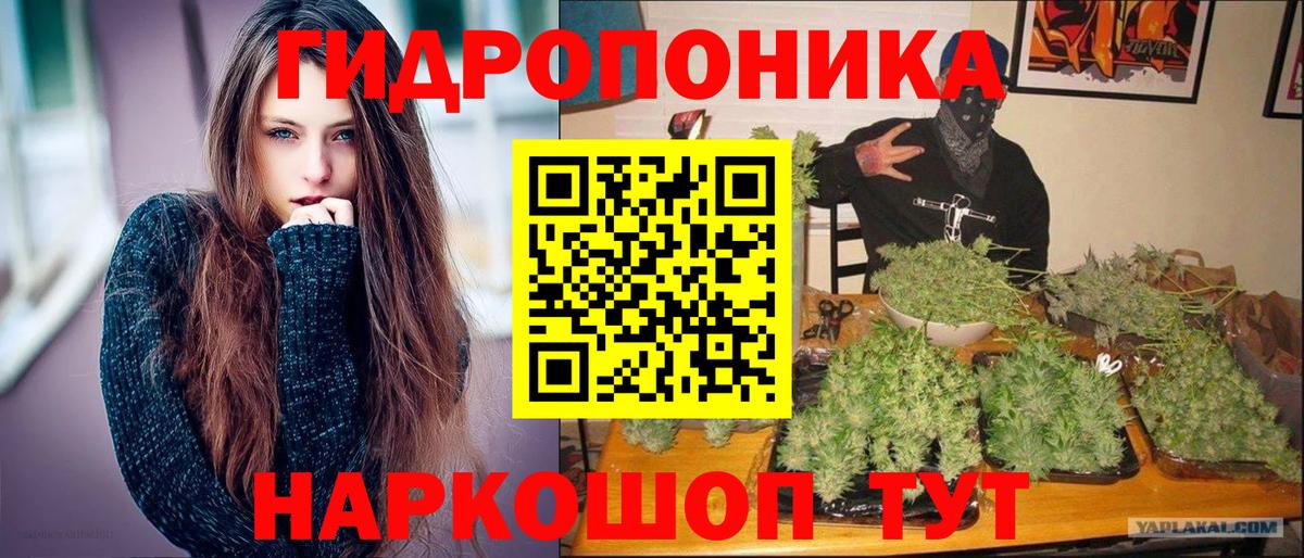 Конопля Amnesia  Марихуана индика  Шишки марихуана VHQ  Гудермес  Вход с VPN 